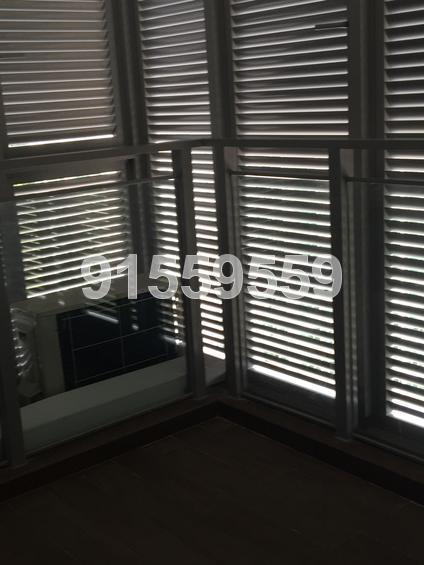 The Hillier (D23), Apartment #134991232